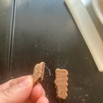 Süsse Bisküvi Yabancı Cisim Çıktı
