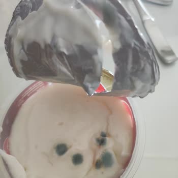 Aydın Efeler Migros Sanal Marketin İlgisizliği Ve Küflü Gıda Ürünü