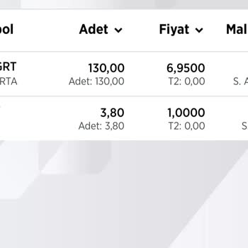 Ziraat Bankası Yatırım Hesabımdaki Hisseler Görünmüyor