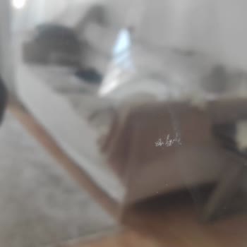 LG 55 İnç TV 140 Ekran 2023 Modeli