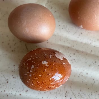 Kor Yumurta Organik Diye Satılan Boyalı Yumurta