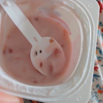 BİM Dost Meyveli Yoğurdun İçinden Böcek Çıktı