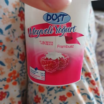 BİM Dost Meyveli Yoğurdun İçinden Böcek Çıktı