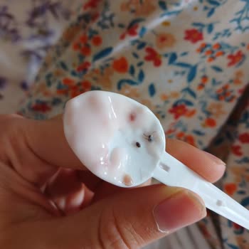 BİM Dost Meyveli Yoğurdun İçinden Böcek Çıktı