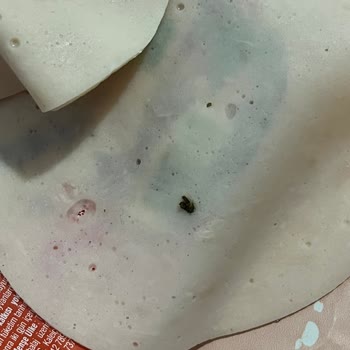 Polonez Et Ürünleri Gıda İçinden Çıkan Hayvan Dışkısı