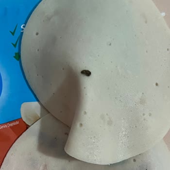 Polonez Et Ürünleri Gıda İçinden Çıkan Hayvan Dışkısı