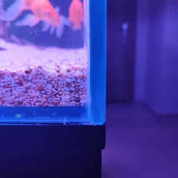 Emas Akvaryum Sistemleri Ayıplı Ürün Teslimi!