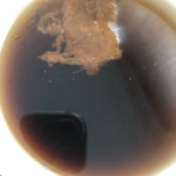 Didi Adlı İçeceğimden Çıkan Şey