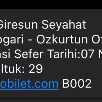 Giresun Seyahat Yolculuk Ve Ulaşımda Yapılan Mağduriyetleri
