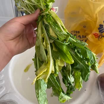 Cepte Şok Çürük Ürün Gönderiyor