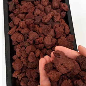 Ekodoğa Grup Hakkız Kazanç Elde Eden Firma