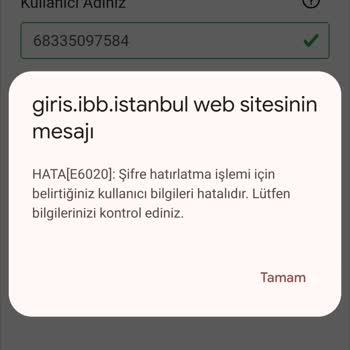 İBB E Tuhim Giriş Sorunu