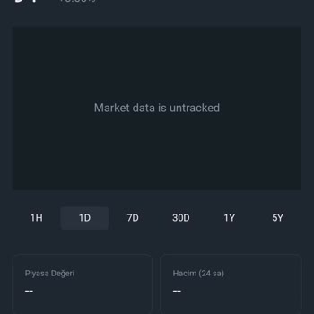 PancakeSwap Saga Token Dönüşüm Sorunu