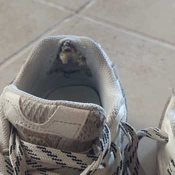 SuperStep Puma Nitro Ayakkabı Kalitesizliği