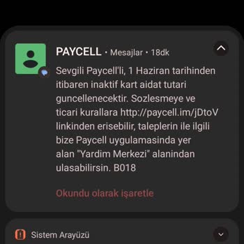 Paycell Hesabımda Yaşanan Karmaşa Ve Güvenlik Endişesi