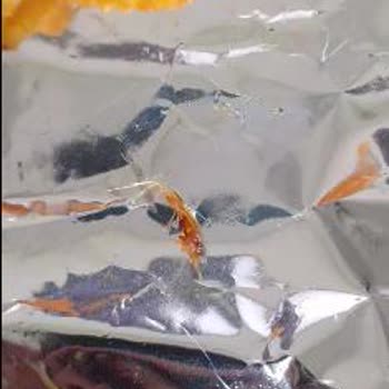 BİM Patito Cipsin İçinden Sivrisinek Çıktı!