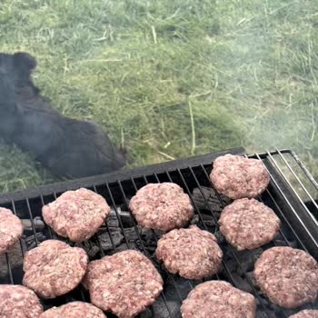 Çatalca Duru Park Piknik Restaurant Fiyat Karmaşası Ve Haksız Ücret Talebi
