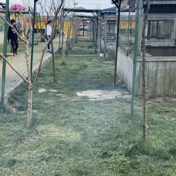 Çatalca Duru Park Piknik Restaurant Fiyat Karmaşası Ve Haksız Ücret Talebi