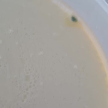 İçim Süt ve Süt Ürünleri İçim Küflenmiş Yoğurt