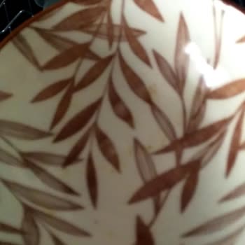 Vestel Bulaşık Makinesi 3 Aylık Yıkamıyor Ve Asla Kurutma Yapmıyor