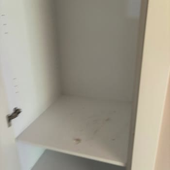 Eleman Yönlendir Hizmeti Kötüye Kullanım