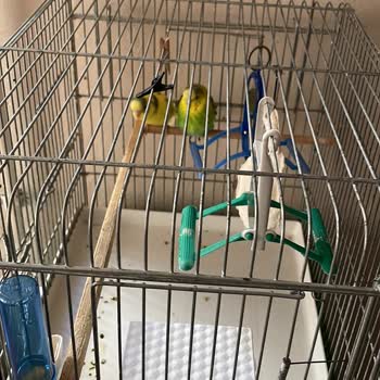 TurkNet İnternet Çok Yavaş Hiz Testi Düşük