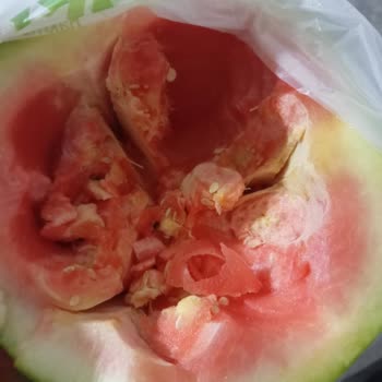 Hakmar Express Karpuz Hayal Kırıklığı Ve İade Problemi