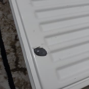 ECA Markasını Tercih Ettim