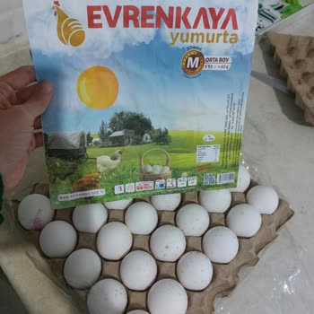 A101 Marketten Alınan Yumurtaların Küflü Çıkması