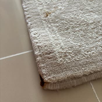 Ankara Çilek Halı Yıkama Halımı Lekeli Getirdi