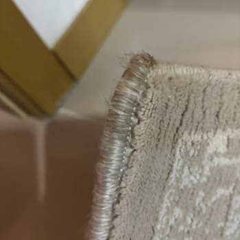 Ankara Çilek Halı Yıkama Halımı Lekeli Getirdi