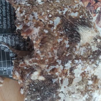 Beşler Dana Kavurma İçinden Çıkan Hayvan Derisi