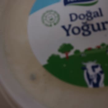 Bravo Süpermarket (Adana) Bravo Küflü Yoğurt