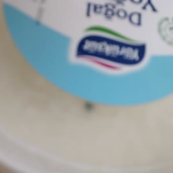 Bravo Süpermarket (Adana) Bravo Küflü Yoğurt