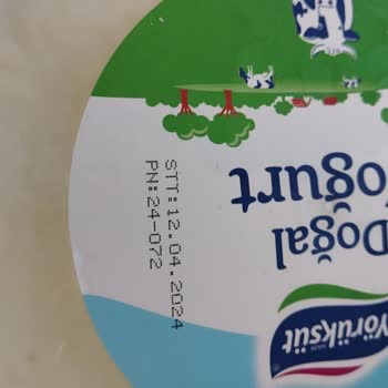 Bravo Süpermarket (Adana) Bravo Küflü Yoğurt