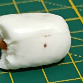 Kent Şekerleri Kent Elegan Marka Bayram Şekerinin İçinden Böcek Çıktı