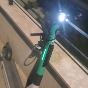 Martı Kilitlenme Sorunu Yaptıkları Ayıp