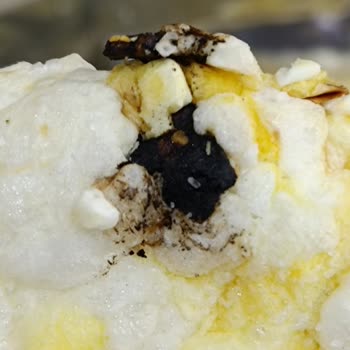 Eti Gıda Eti Gong Açıklama Yapın Lütfen