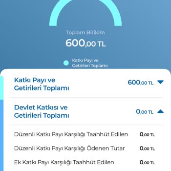 Anadolu Hayat Emeklilik'ten İzinsiz Kesintiler Ve İptal Sorunu