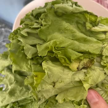 6 Aylık Bosch Buzdolabı Ürünleri Buz Tutuyor, 2 Günde Sebzeleri Bozuyor