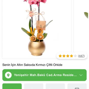 ÇiçekSepeti Renk Farkıyla Gelen Sürpriz Orkide Hayal Kırıklığı