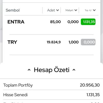 Ziraat Bankası Satışı Yapılan Hissenin 3. Gün Olmasına Karşın T+1 Gözükmesi