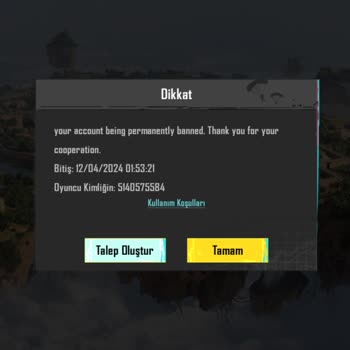 PUBG (Pubgmobile.com) 3. Rd Party Den Ban Yedim Yedim