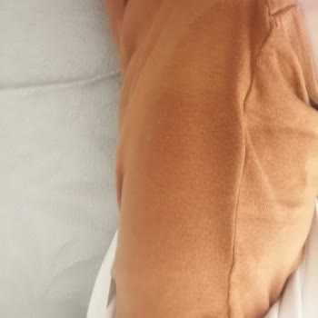 Sleepy Bez Her Zamankinden Çok Farklı Çıktı