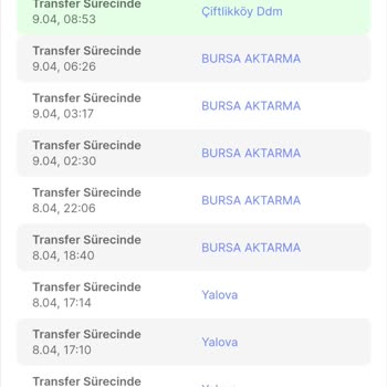 Sürat Kargo Bitmiş Bir Kargo Firması, Hatalar Silsilesi