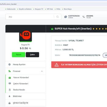 Bayspin 1000 TL Yatırımıma Çöktü
