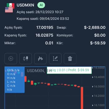 My Invest Global My İnvest Global Swap Kesintisi