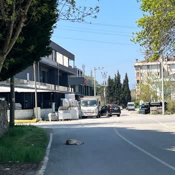 Kocaeli Büyükşehir Belediyesi Belediyenin Yerini Deği Olarak Kullanılması
