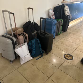 Jolly Turun Sorumsuzluğu