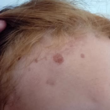 Palette Göz Alıcı Renkler 10.1